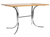 ROZANA DUO CHROME 300